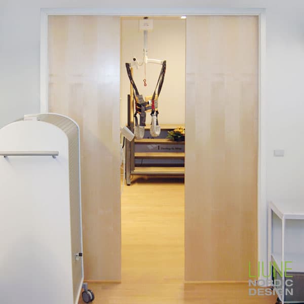 Mountain | D6 Birch veneer door