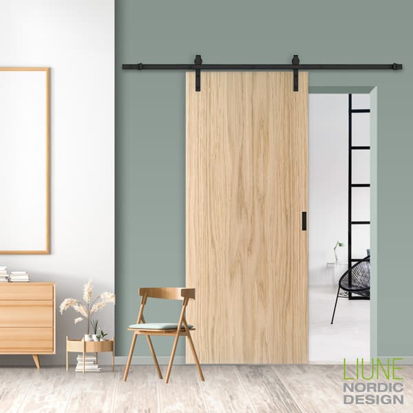 Surface | D15 Decoration door LOFT