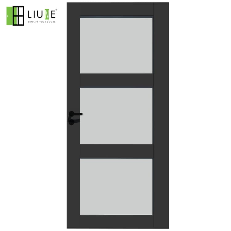 STAR | BLACK DOOR WITH GLASS PANELS
